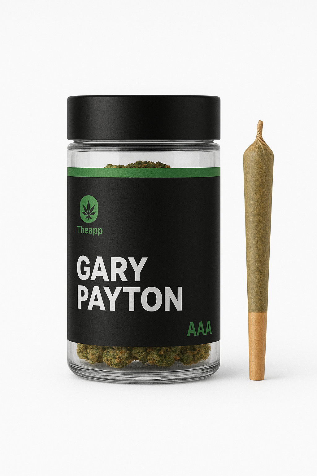 Indoor Gary Payton