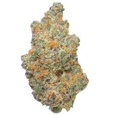 INDOOR SUPER BOOF