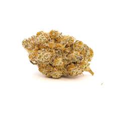 Indoor Platinum Gorilla