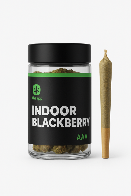INDOOR BLOCKBERRY