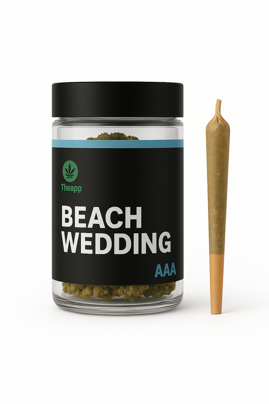 Indoor Beach Wedding