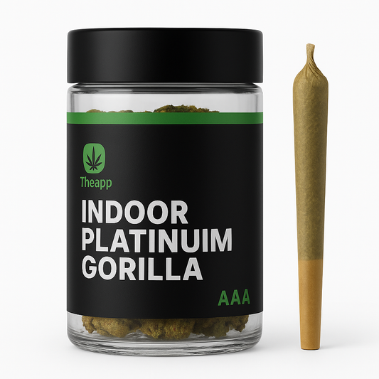 Indoor Platinum Gorilla
