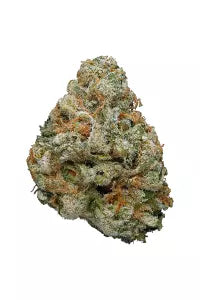 INDOOR CANDYLAND