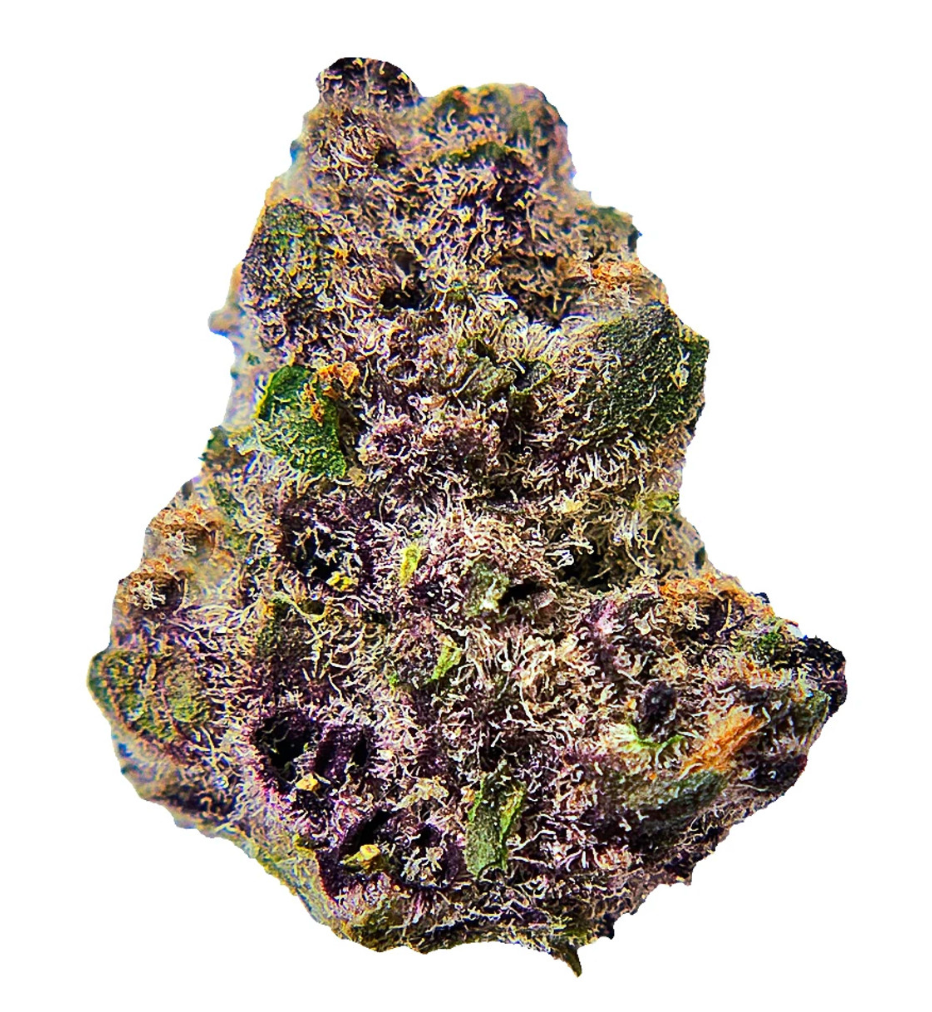 INDOOR BLOCKBERRY