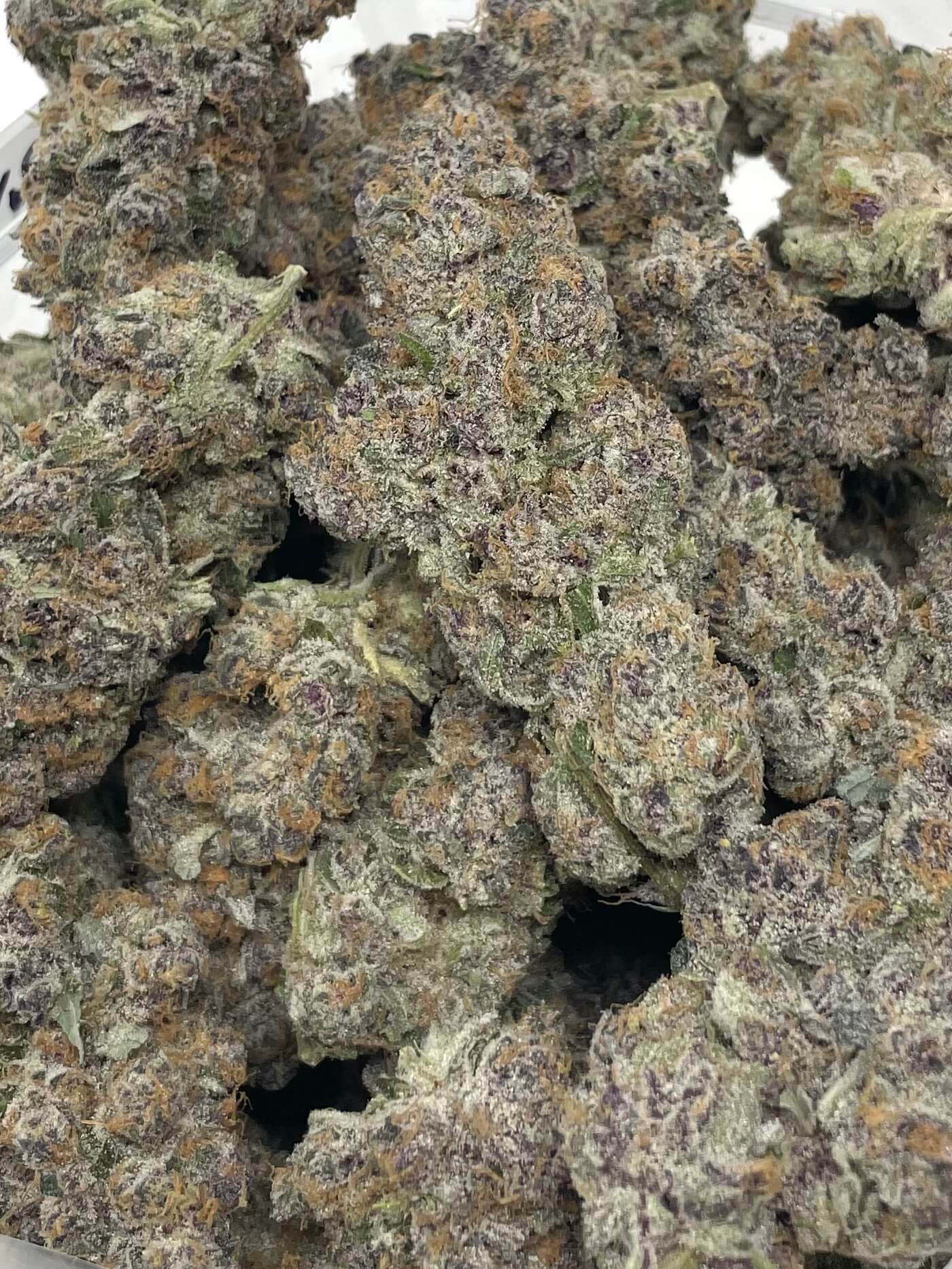 INDOOR SUPER BOOF