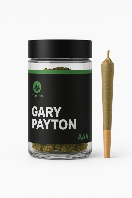 Indoor Gary Payton