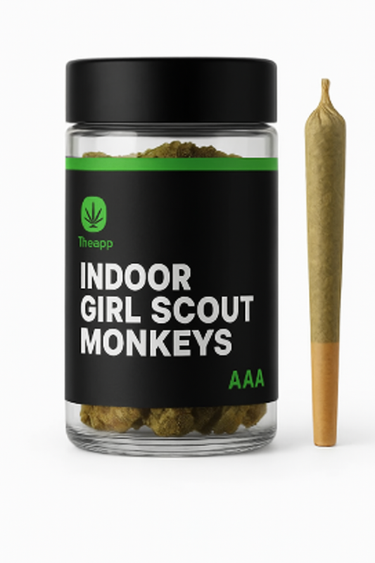 Indoor Girl Scout Monkeys