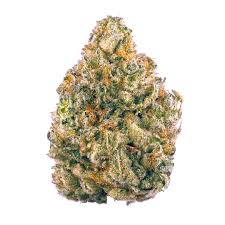 Indoor AK-47