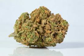Indoor Blue Dream