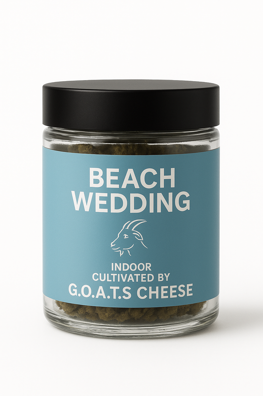 Indoor Beach Wedding