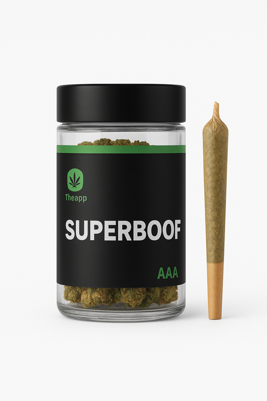 INDOOR SUPER BOOF