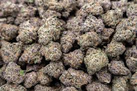 INDOOR BLOCKBERRY