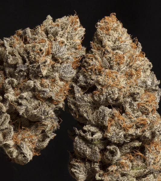 INDOOR CANDYLAND